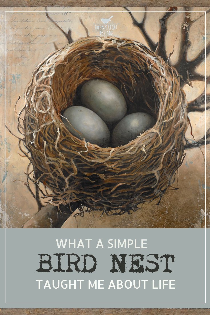 “WHAT A SIMPLE BIRD NEST TAUGHT ME ABOUT LIFE”