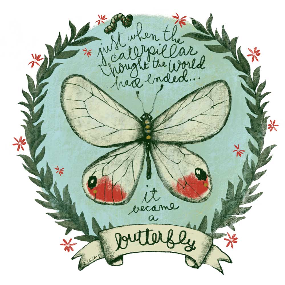 butterfly illustration by Bonnie Lecat