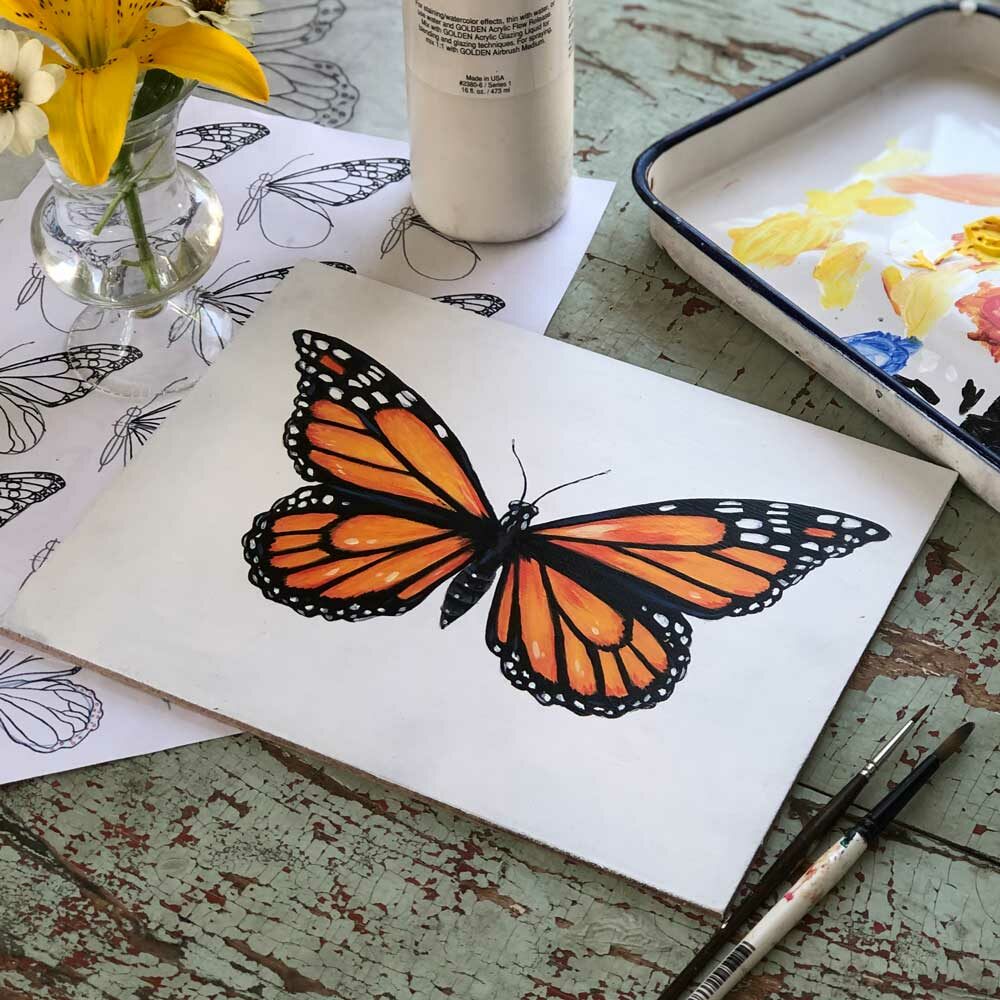 How to draw and paint a butterfly